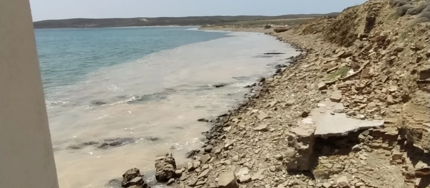 Έφτασε στη Λήμνο η θαλάσσια βλέννα του Μαρμαρά! (φώτο-βίντεο)